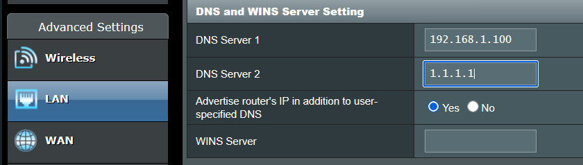 Router DNS settings showing Pi IP as DNS Server 1 and 1.1.1.1 as fallback