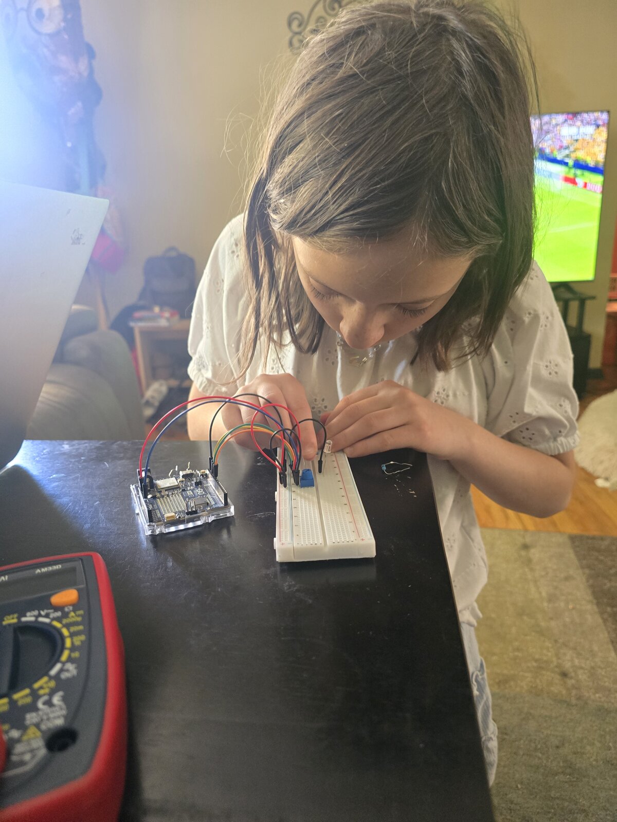 pixie_technologist wiring an Arduino and breadboard at home
